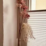 Apartment Dreifluesse *
