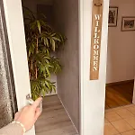 Dreifluesse