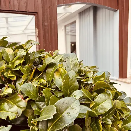 Dreifluesse Apartamento Hannoversch Münden