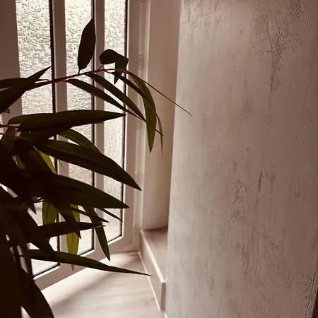Apartamento Dreifluesse *