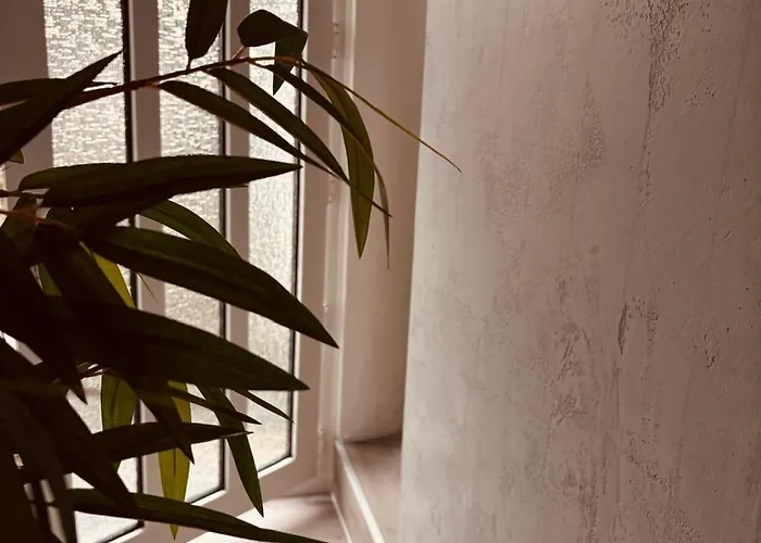 Lägenhet Dreifluesse *